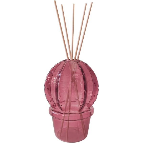 DIFFUSORE FRAGRANZA CACTUS VIOLA CON BASTONCINI - BRANDANI DIFFUSORE FRAGRANZA CACTUS VIOLA CON BASTONCINI - BRANDANI