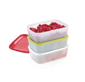 SET OF 3 PCS TESCOMA FREEZER CONTAINER