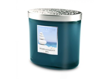 SIMPLY SPA SCENTED SOY CANDLE 2 WICKS 230G HEART&HOME