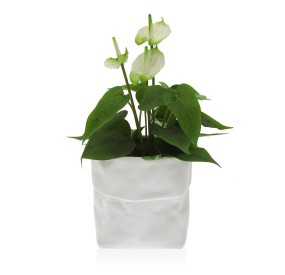 WHITE CERAMIC FLOWER VASE 18x20cm