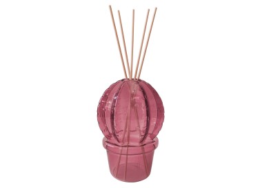 PURPLE CACTUS FRAGRANCE DIFFUSER BRANDANI STICKS