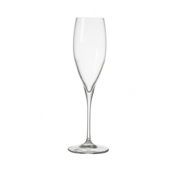 OBLIO BRANDANI FLUTE GLASS WINE GLASS