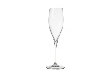 OBLIO BRANDANI FLUTE GLASS WINE GLASS