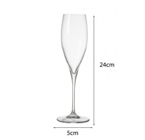 OBLIO BRANDANI FLUTE GLASS WINE GLASS