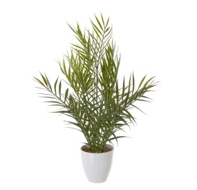 ARTIFICIAL PALM PLANT WITH WHITE PLASTIC GLASS H42cm