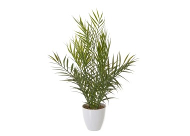 ARTIFICIAL PALM PLANT WITH WHITE PLASTIC GLASS H42cm