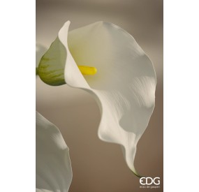 FLOWERING CALLA BRANCH 75cm ENZO DE GASPERI