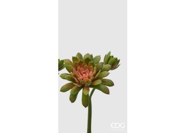 RAMO FIORE ECHEVITERIA 18cm ENZO DE GASPERI