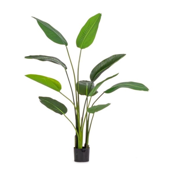 ARTIFICIAL STRELITZIA PLANT WITH POT H.150cm BIZZOTTO